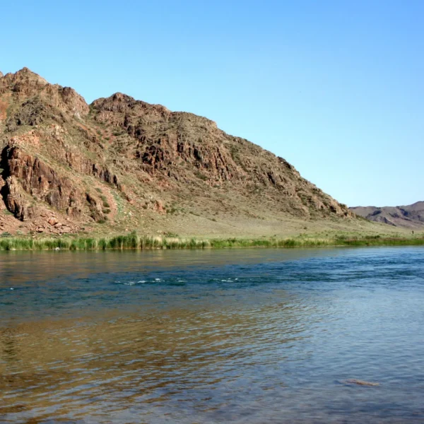 iliriver07_vt