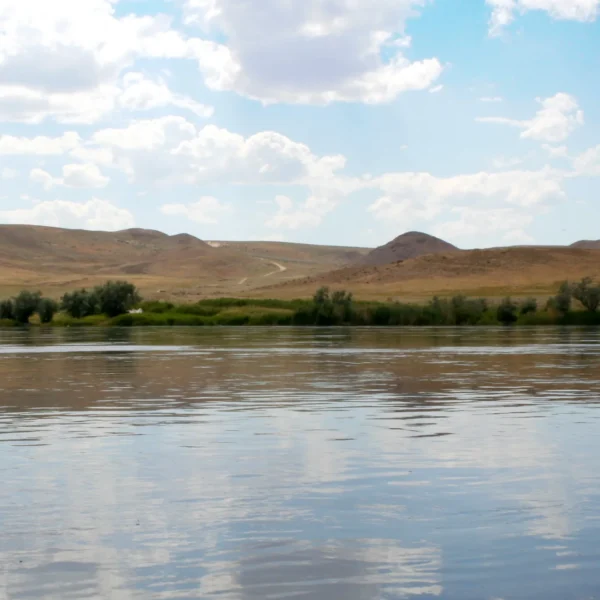 iliriver08_vt