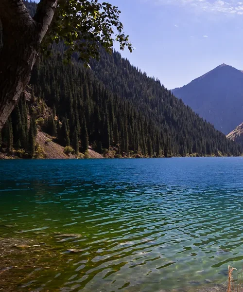 kolsay1_01_vt