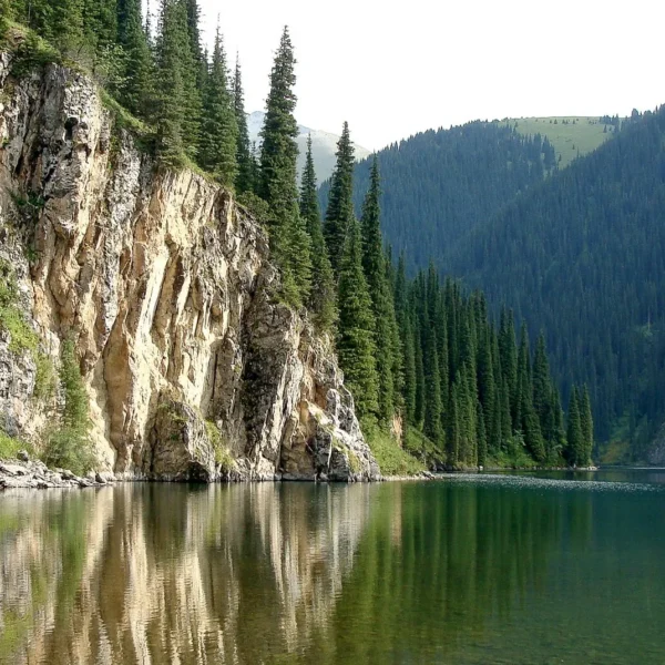 kolsay2_01_vt