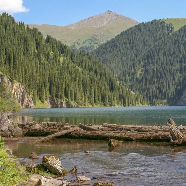 kolsay2_03_vt