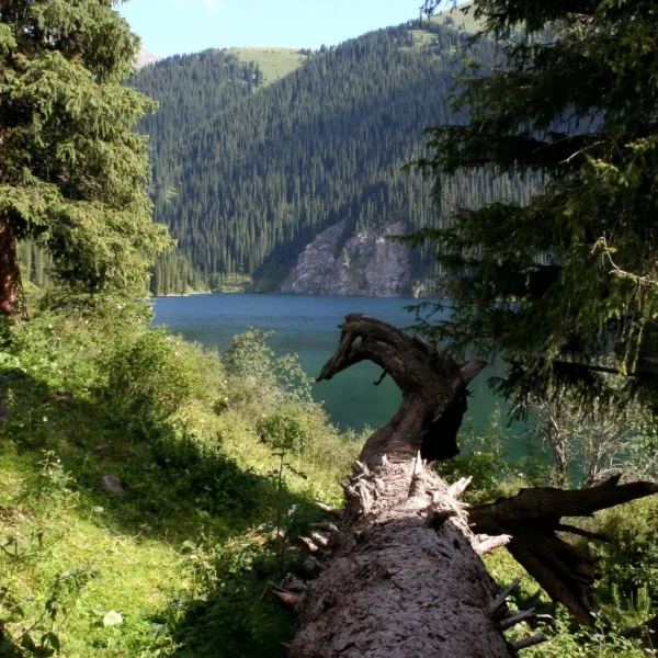 kolsay2_05_vt