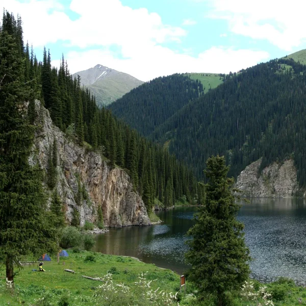 kolsay2_06_20x8_vt