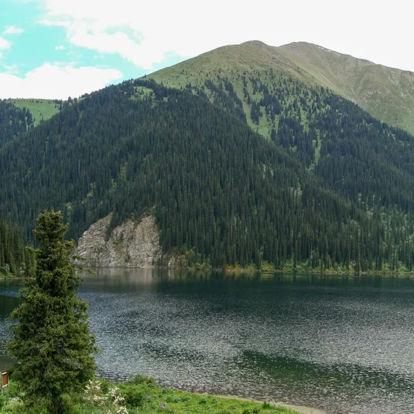 kolsay2_06_vt