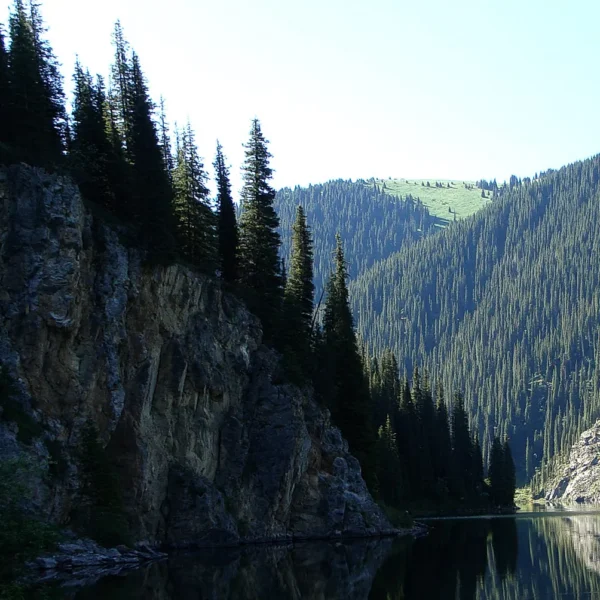 kolsay2_07_20x8_vt