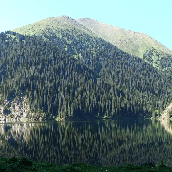kolsay2_07_vt