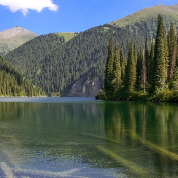 kolsay2_14_vt