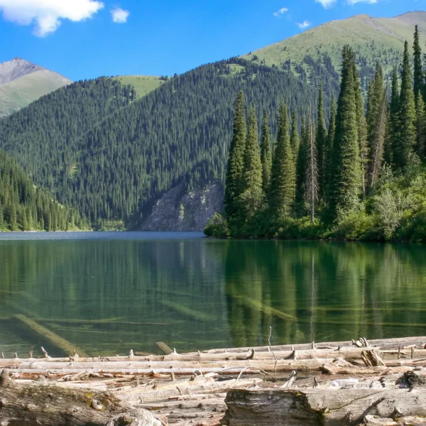 kolsay2_16_vt