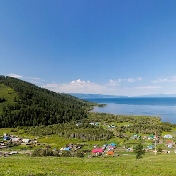 markokol01_vt