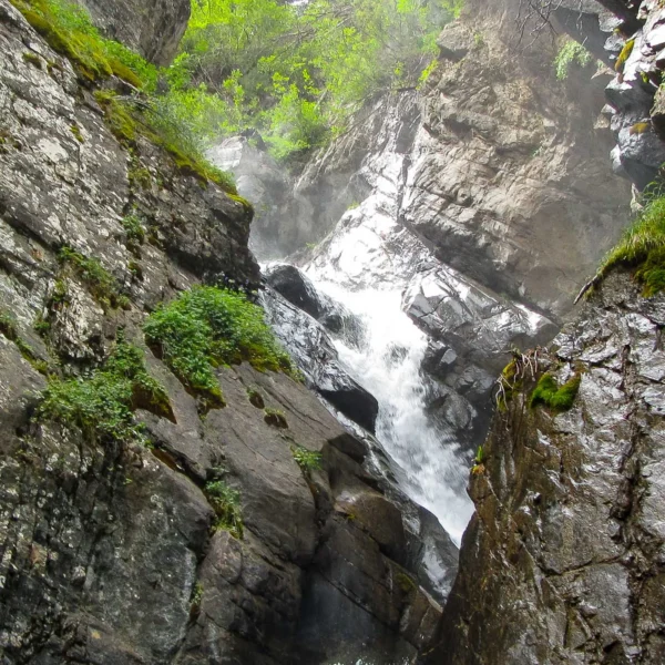 turgen10_vt