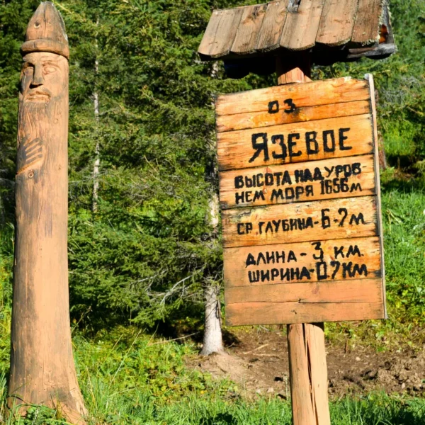 yazevoe12_vt
