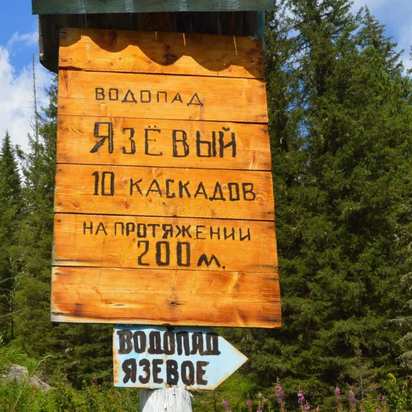 yazevoe14_vt